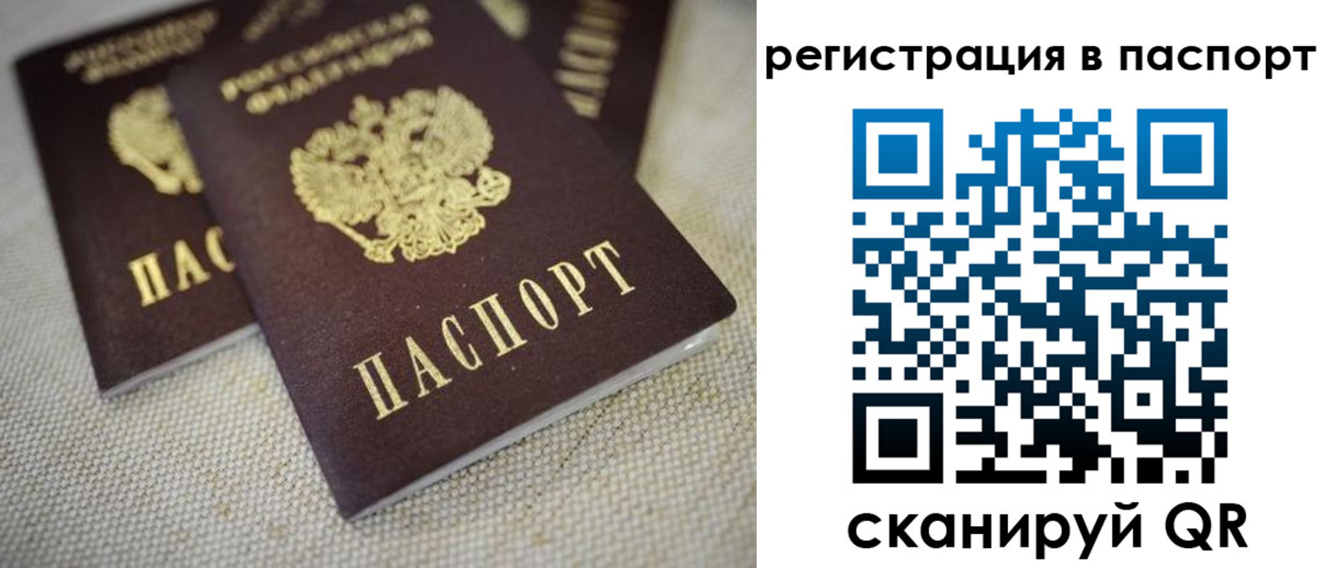 прописка гарантия в Клинцах